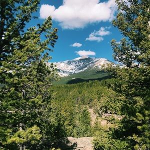 Meet your Posher, Kathy